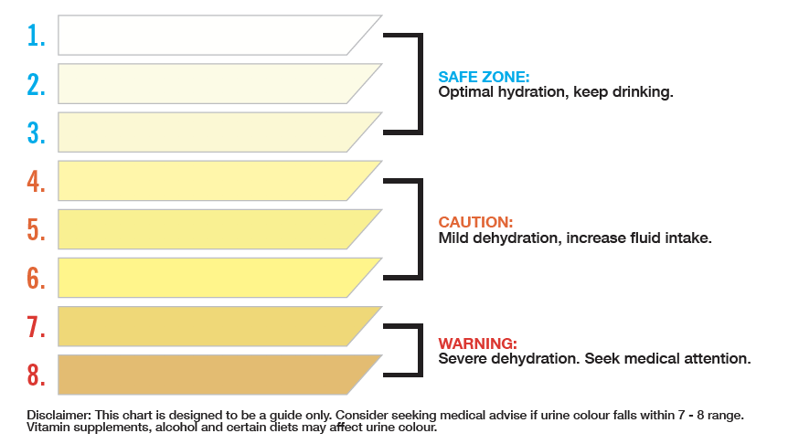 Hydration Guide Thorzt Hydrating Hard Work